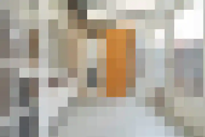 Schulpstet 4 Castricum thumbnail 14