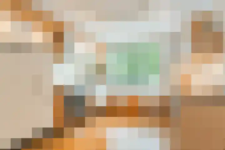 Schulpstet 4 Castricum thumbnail 15