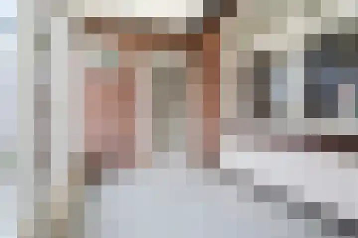 Schulpstet 4 Castricum thumbnail 15