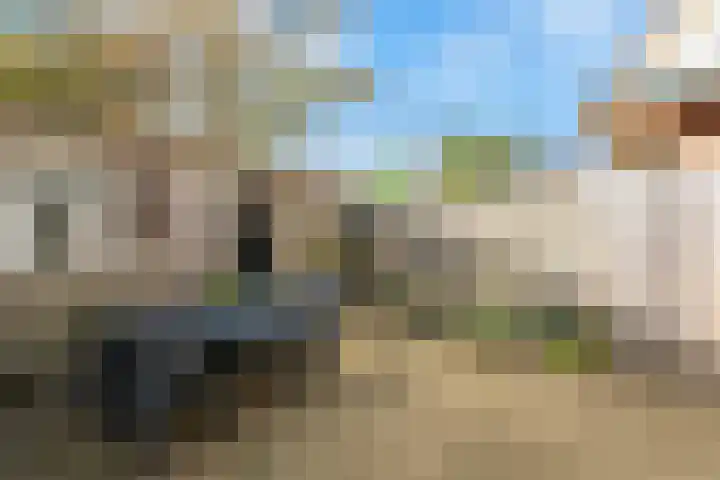 Schulpstet 4 Castricum thumbnail 17