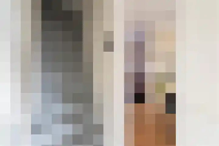 Schulpstet 4 Castricum thumbnail 19