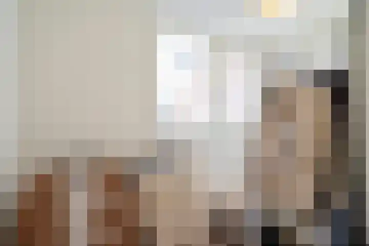 Schulpstet 4 Castricum thumbnail 22