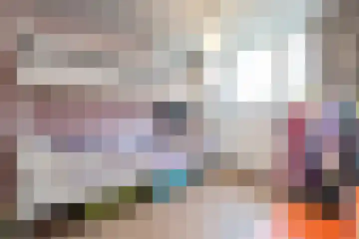 Schulpstet 4 Castricum thumbnail 24