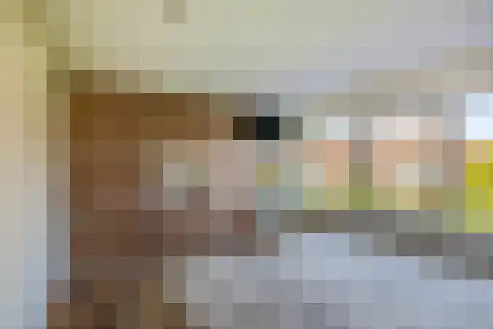 Schulpstet 4 Castricum thumbnail 29