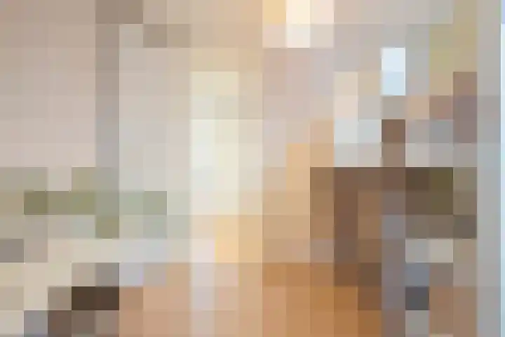 Schulpstet 4 Castricum thumbnail 29