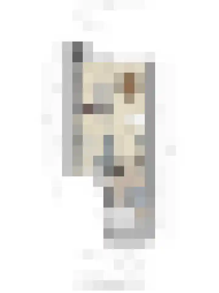 Schulpstet 4 Castricum foto 3