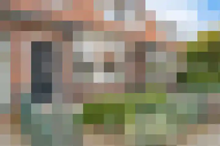 Schulpstet 4 Castricum thumbnail 33