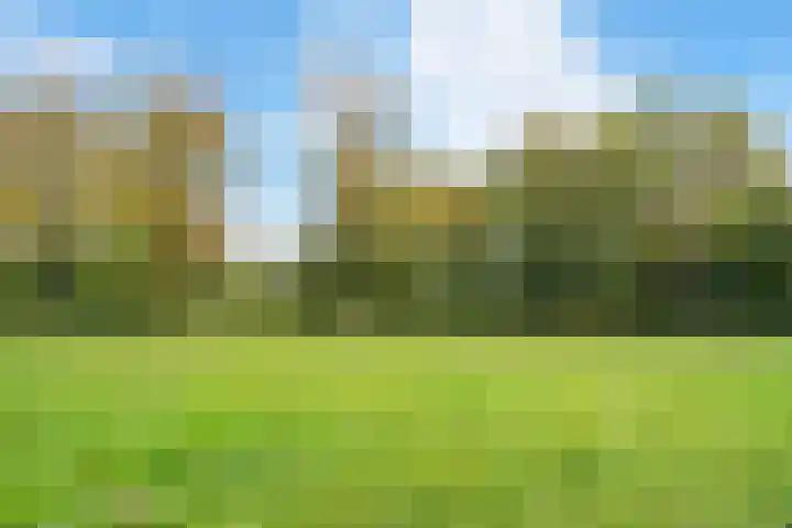 Schulpstet 4 Castricum thumbnail 35