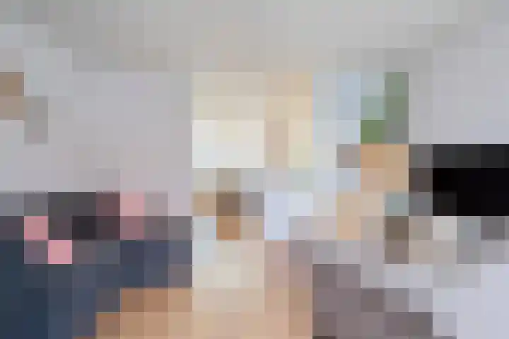 Schulpstet 4 Castricum thumbnail 37