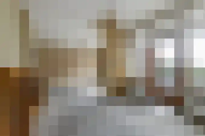 Schulpstet 4 Castricum thumbnail 38