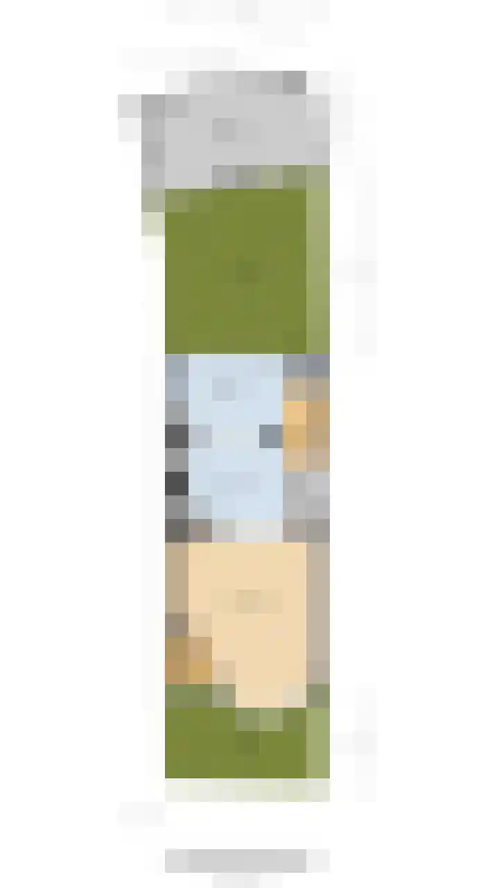 Schulpstet 4 Castricum thumbnail 40