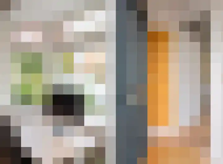 Schulpstet 4 Castricum thumbnail 5