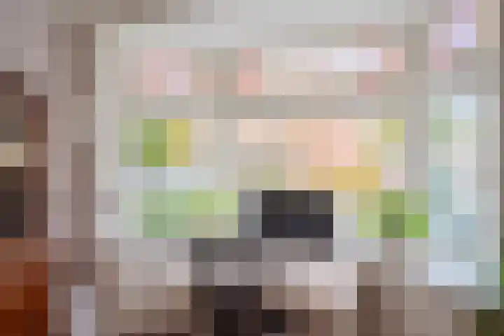 Schulpstet 4 Castricum thumbnail 7