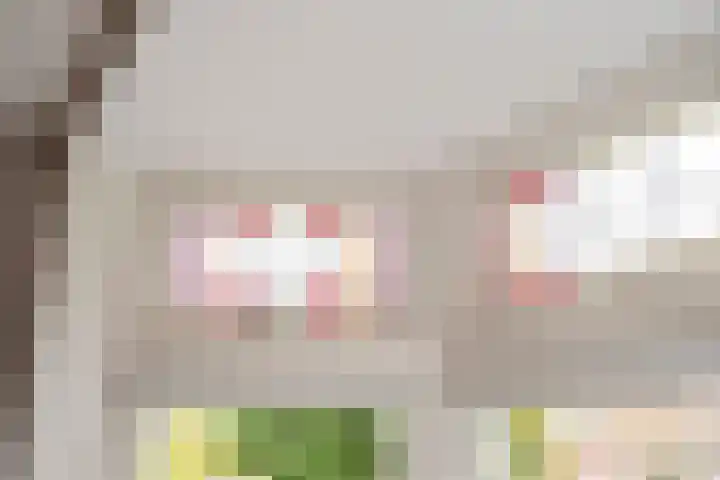 Schulpstet 4 Castricum thumbnail 9