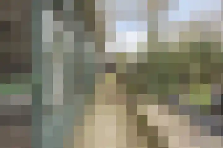 Schulpweg 251 Rotterdam thumbnail 23