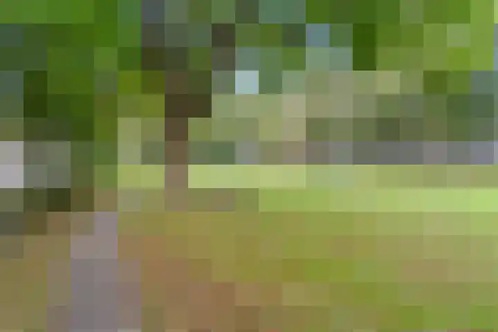 Schulpweg 251 Rotterdam thumbnail 28