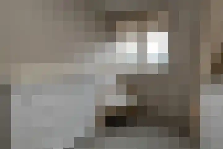 Schulpweg 251 Rotterdam thumbnail 6