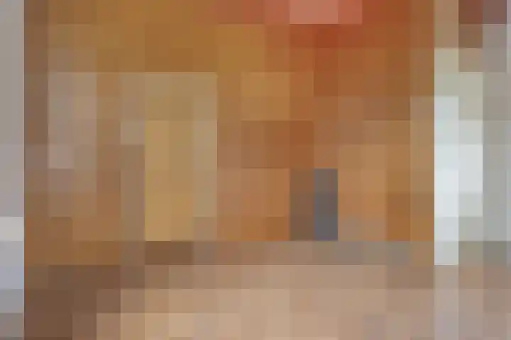 Schulpweg 251 Rotterdam thumbnail 7