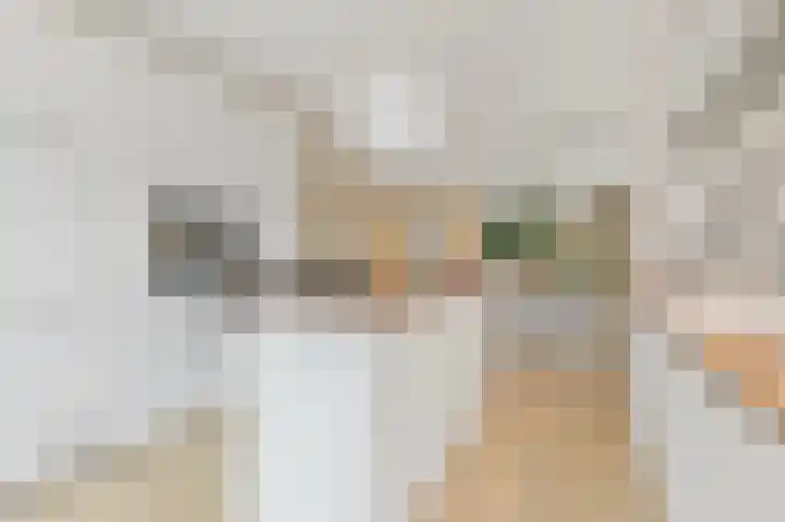 Schumannlaan 16 Rotterdam thumbnail 8