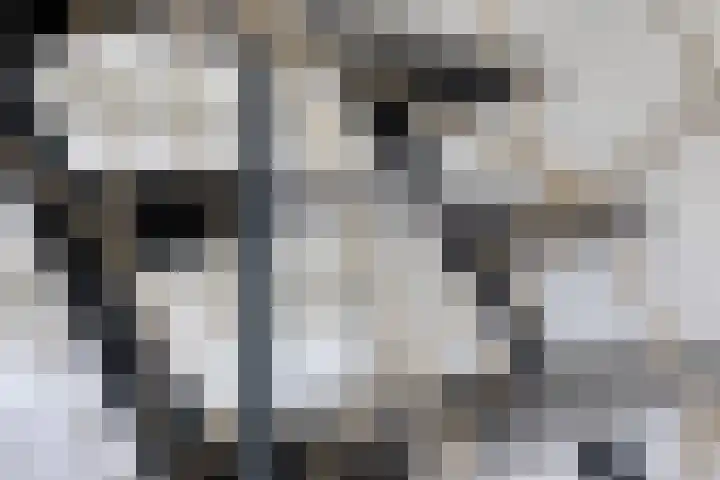Schumannlaan 17 Enschede thumbnail 9