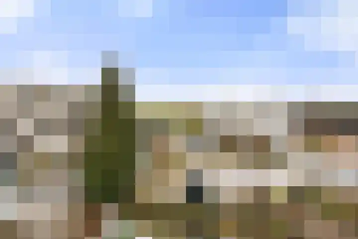 Schumansingel 21 Ede thumbnail 13