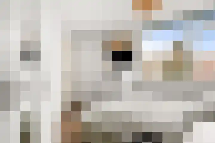 Schumansingel 21 Ede thumbnail 16
