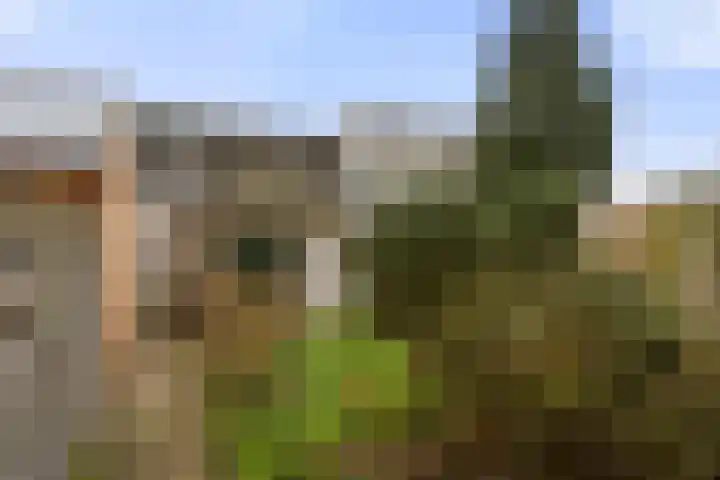 Schumansingel 21 Ede thumbnail 26