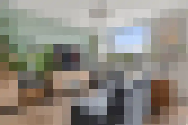 Schumansingel 21 Ede thumbnail 7