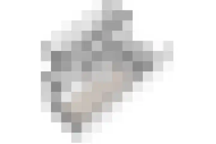 Schurenhof 1 Baexem thumbnail 39