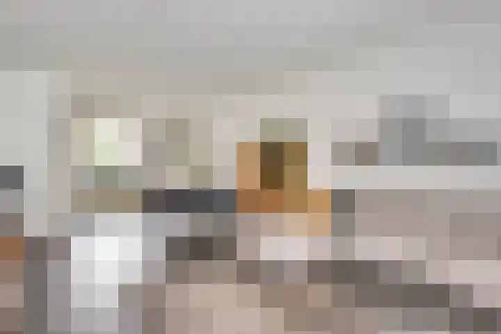 Schurenhof 1 Baexem thumbnail 4