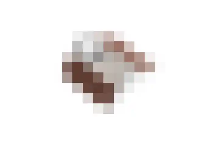 Schurenhof 1 Baexem thumbnail 41