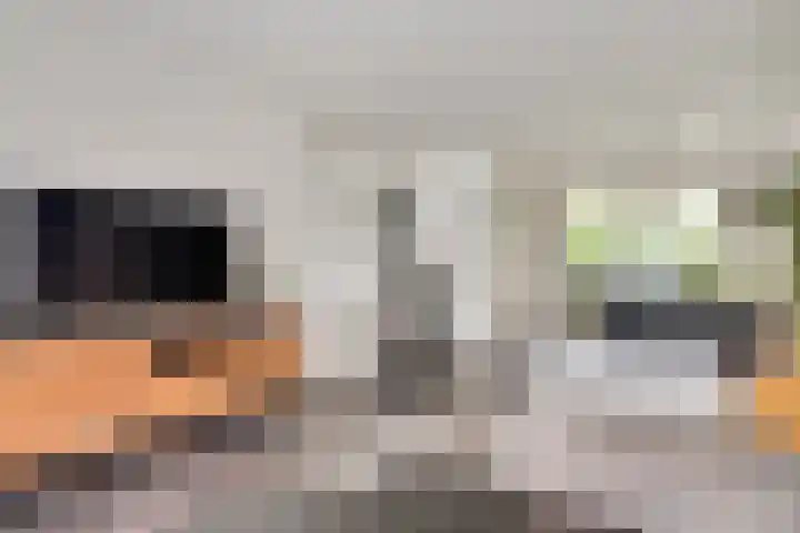 Schurenhof 1 Baexem thumbnail 7