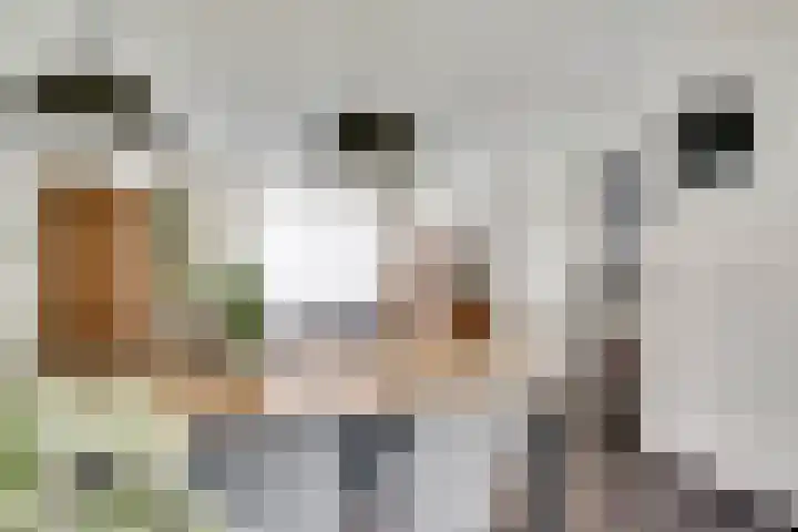Schurenhof 1 Baexem thumbnail 9