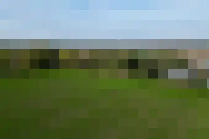 Schuringsedijk 154 Numansdorp thumbnail 59
