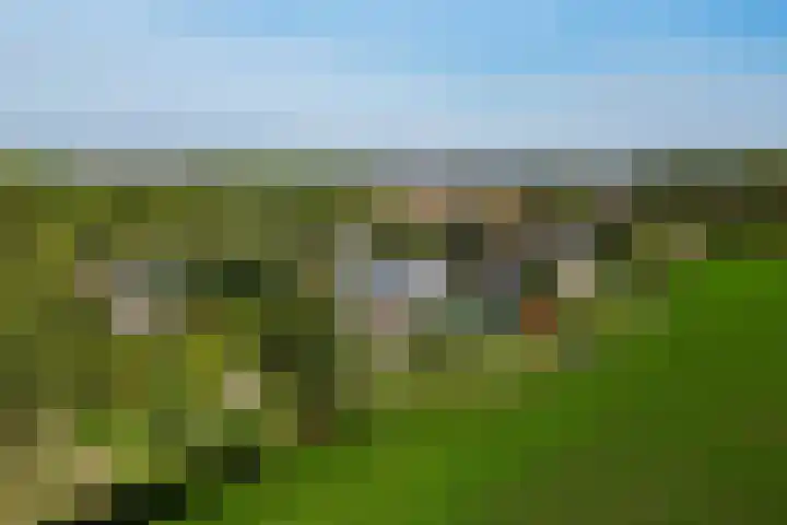 Schuringsedijk 154 Numansdorp thumbnail 61