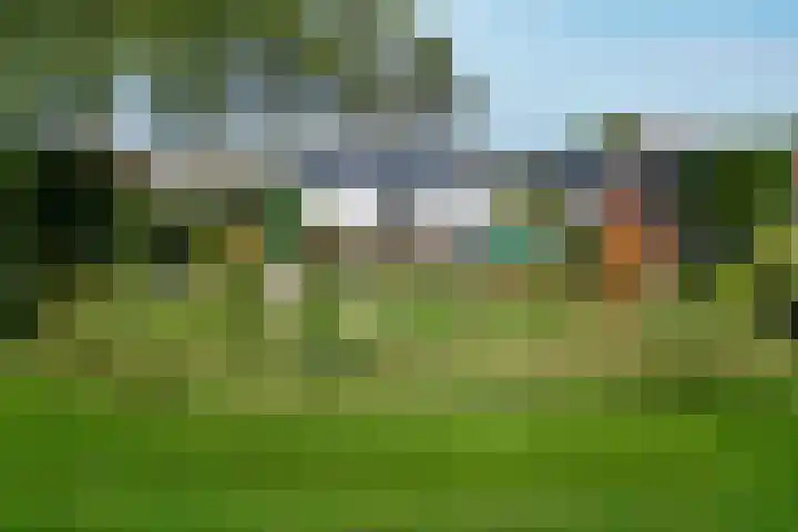 Schuringsedijk 154 Numansdorp thumbnail 63