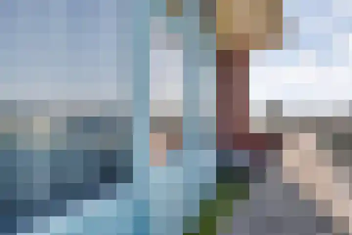 Schurinkhof 33 Ommen thumbnail 24