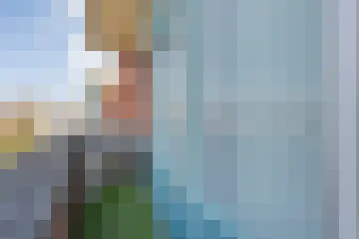 Schurinkhof 33 Ommen thumbnail 25