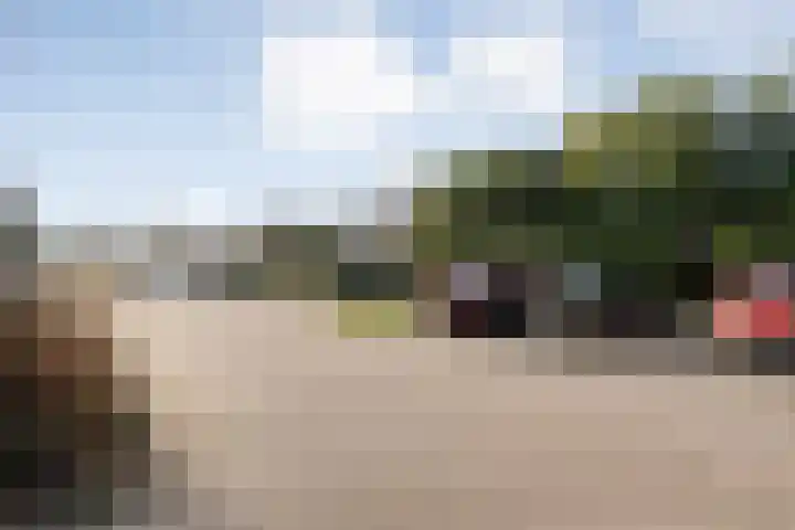 Schurinkhof 33 Ommen thumbnail 27