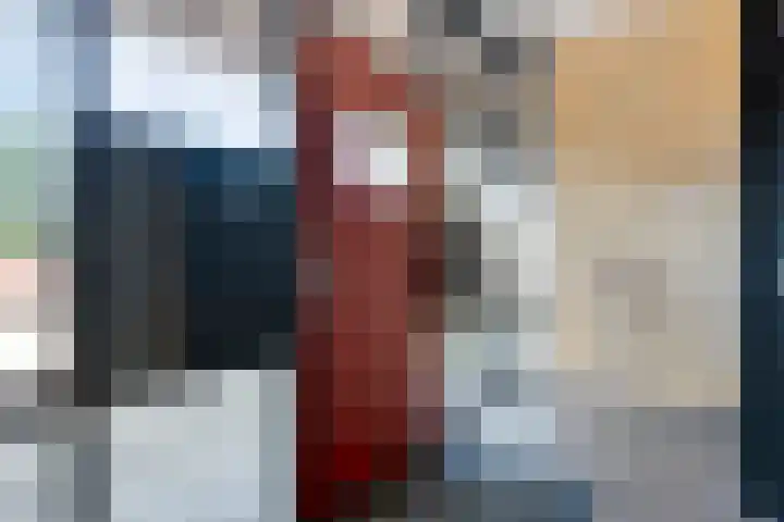 Schurinkhof 33 Ommen thumbnail 28