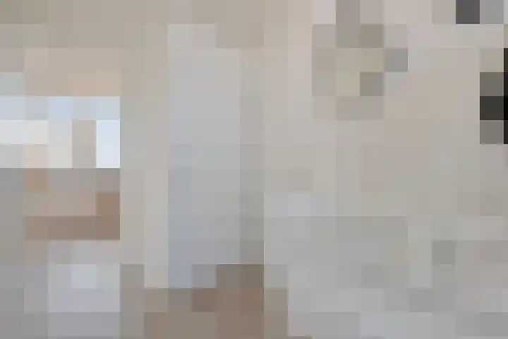 Schurinkhof 33 Ommen thumbnail 5
