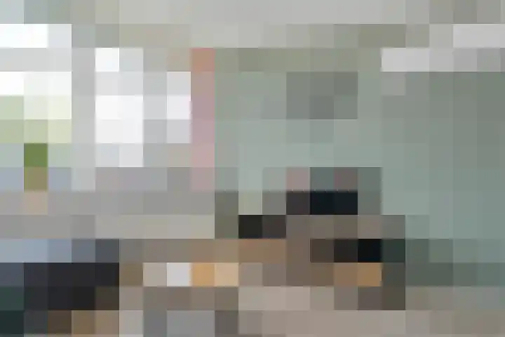 Schurinkhof 33 Ommen thumbnail 7