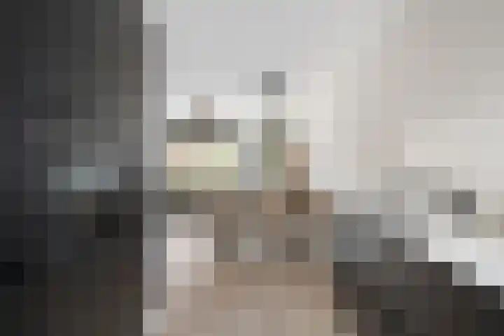 Schutleede 41 Barendrecht thumbnail 17