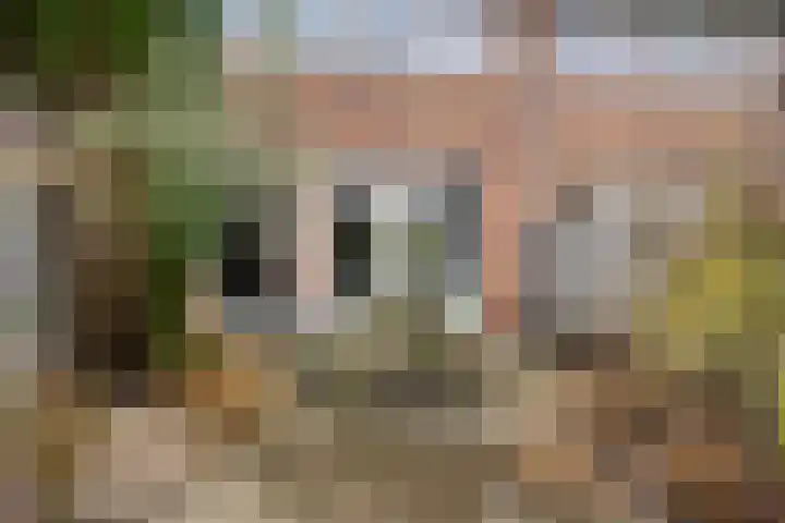 Schutleede 41 Barendrecht thumbnail 34