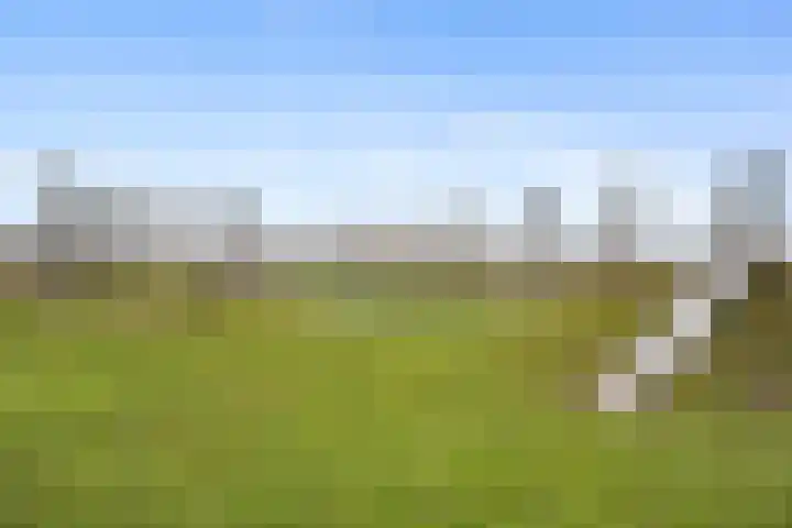 Schutleede 41 Barendrecht thumbnail 37