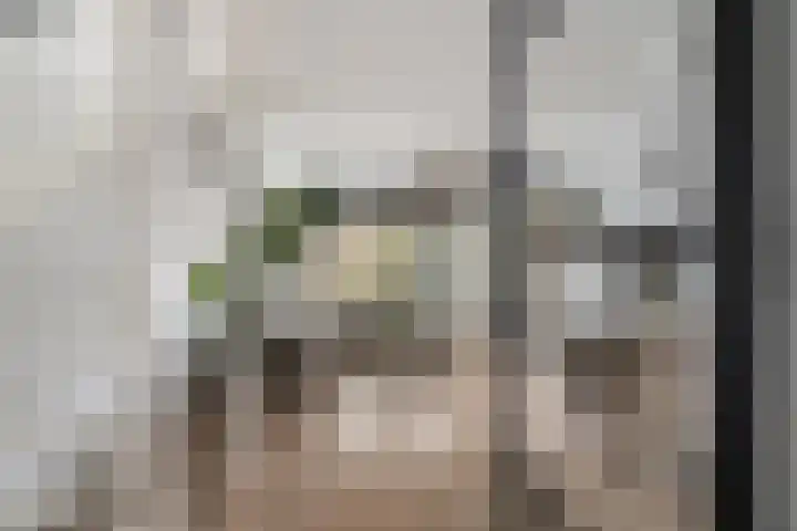 Schutleede 41 Barendrecht thumbnail 8