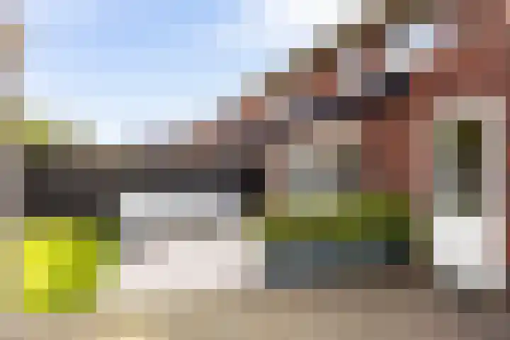 Schutsboom 20 Escharen thumbnail 13