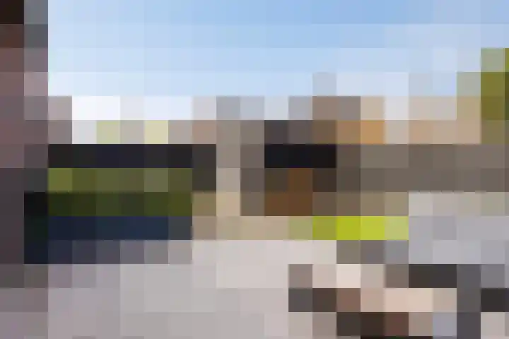 Schutsboom 20 Escharen thumbnail 14