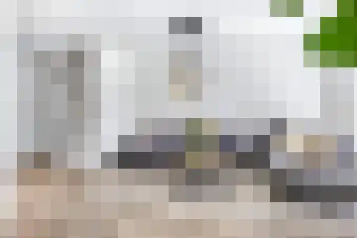 Schutsboom 20 Escharen thumbnail 4