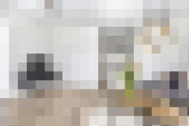 Schutsboom 20 Escharen thumbnail 5